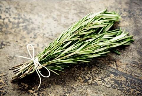 Rosemary Helps Hair Growth