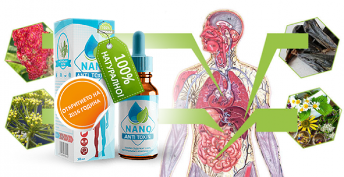 Anti Toxin Nano – Have a Healthy Life With AntiToxin Nano