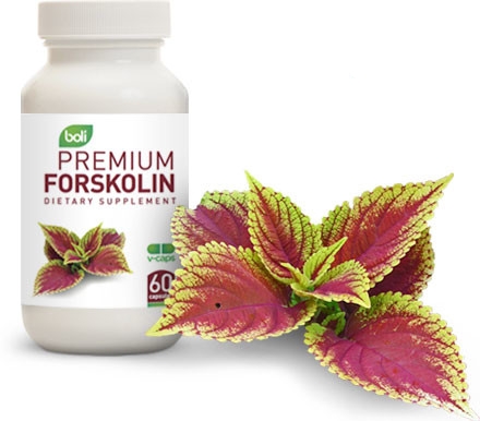 forskolin apex flatten