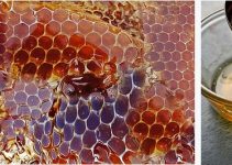 The Health Benefits of Natural Propolis