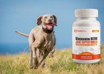 Glucosamine Ultra Pealthy Pets – All-Natural Hip and Joint Health Supplement for Dogs