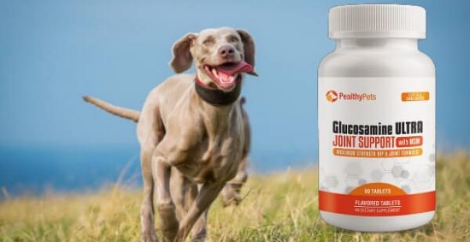 Glucosamine Ultra Pealthy Pets – All-Natural Hip and Joint Health Supplement for Dogs