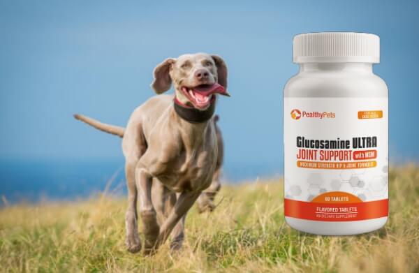 Glucosamine Ultra Joint Support Pealthy Pets 