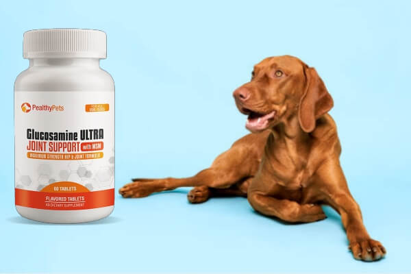 Glucosamine Ultra Price, pealthy pets