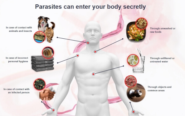 parasites, toxins, infection