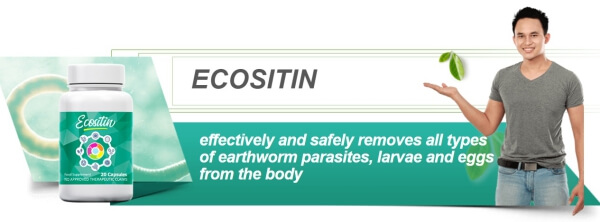 EcoSitin Price Philippines