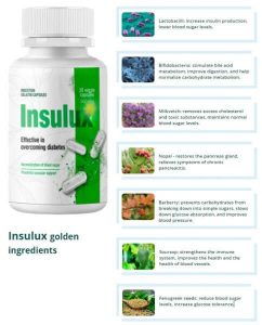 Insulux composition and ingredients