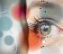 Eyesight – Everything You Need to Know About It