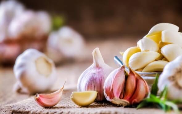 Garlic, hypertension, heart rate