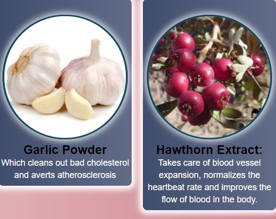 Ingredients – Garlic & Hawthorn