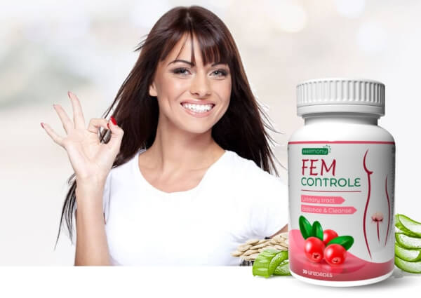 What Is FEM Controle 