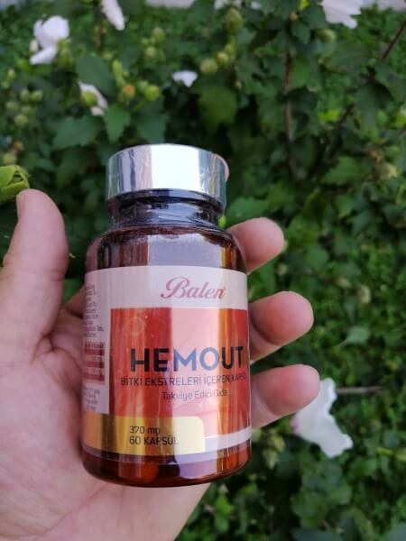 Hemout – What Is It