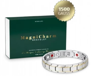 Magnicharm Bracelet Review