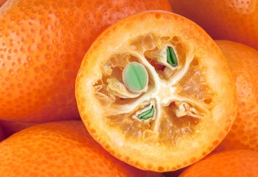 Kumquat – Information & Benefits