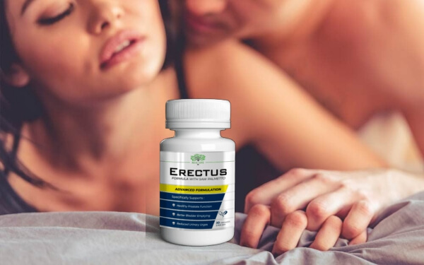 Erectus – What is It 