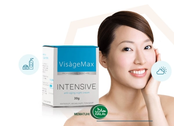 What is VisageMax