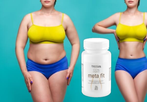What Is Meta Fit