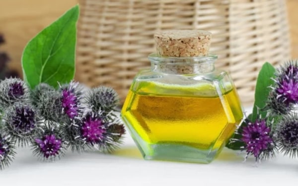 Burdock Oil 