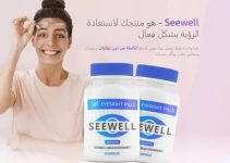 Seewell – Is It Working? Clients’ Opinions, Price?