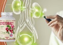 Cystobact Reviews, Price, Contraindications, How to Take 2025
