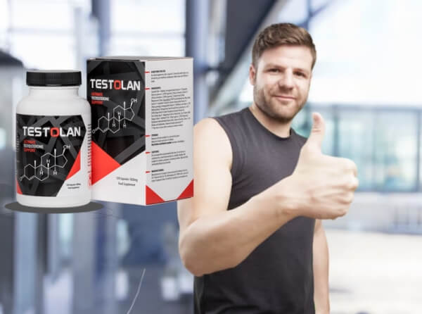 How to Use Testolan Instructions How to Use Testolan Instructions