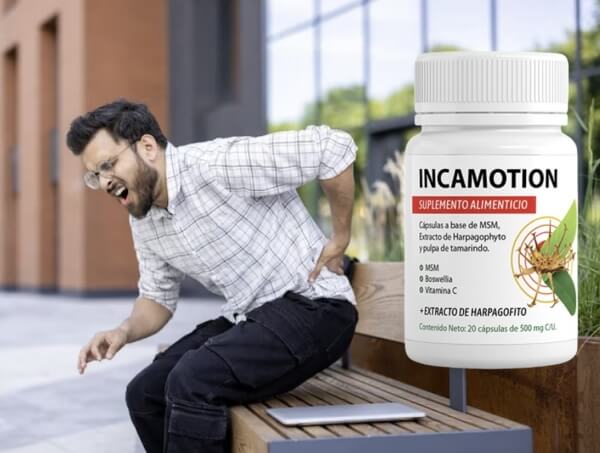 What Is IncaMotion and What Does It Serve For What Is IncaMotion and What Does It Serve For