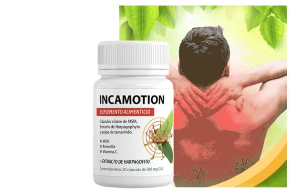 How to Use IncaMotion Instructions How to Use IncaMotion Instructions