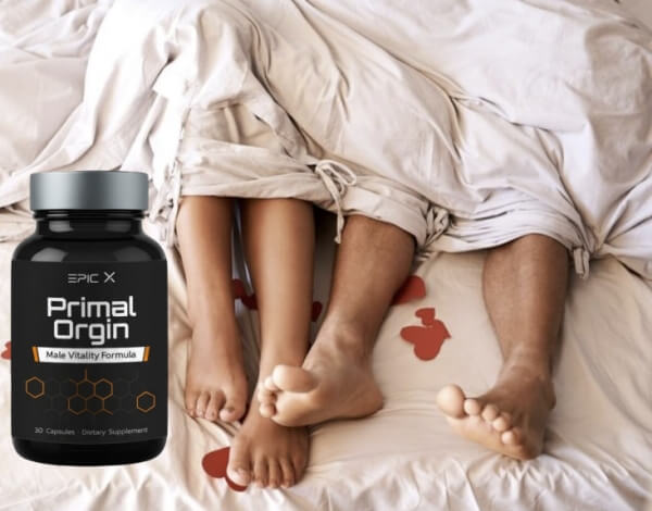 Primal Orgin Price in Europe and Where to Buy Primal Orgin Price in Europe and Where to Buy